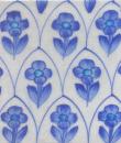 Blue Flower and White Tile